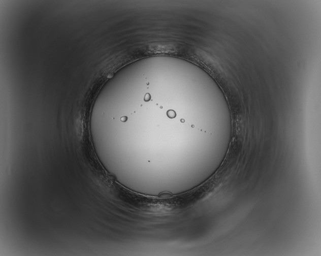 X0000089400741200706291407