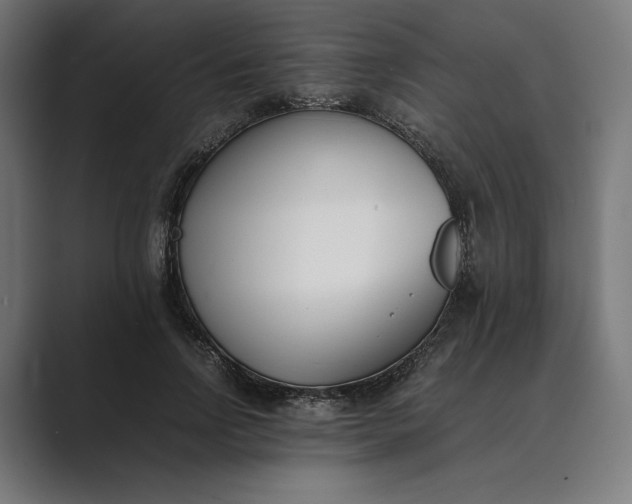 X0000089400742200706291407