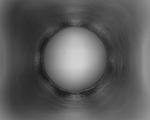 X0000089400744200706291407