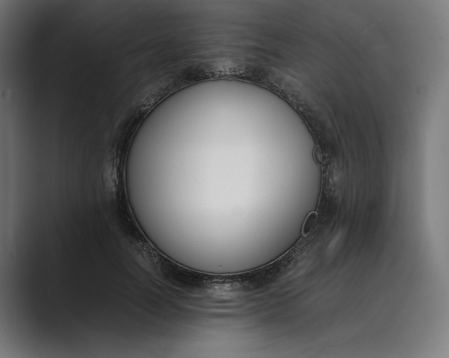 X0000089400746200706291407