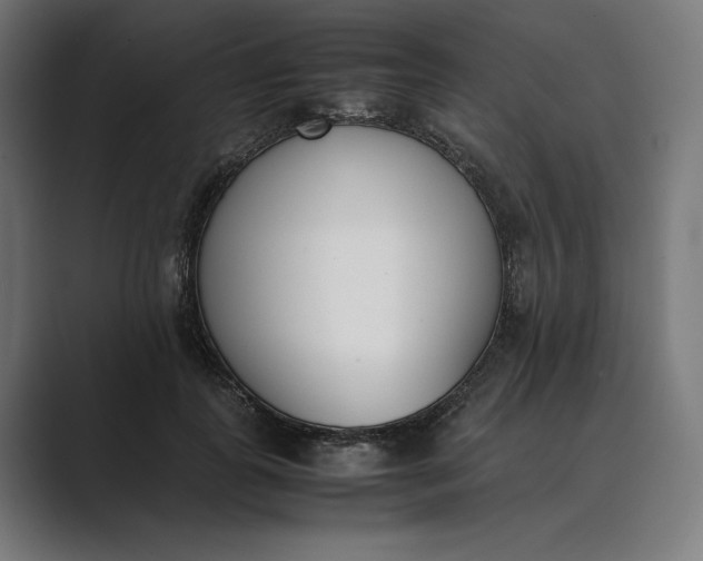 X0000089400747200706291407