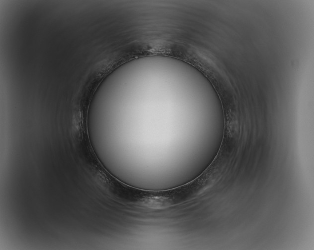 X0000089400748200706291407