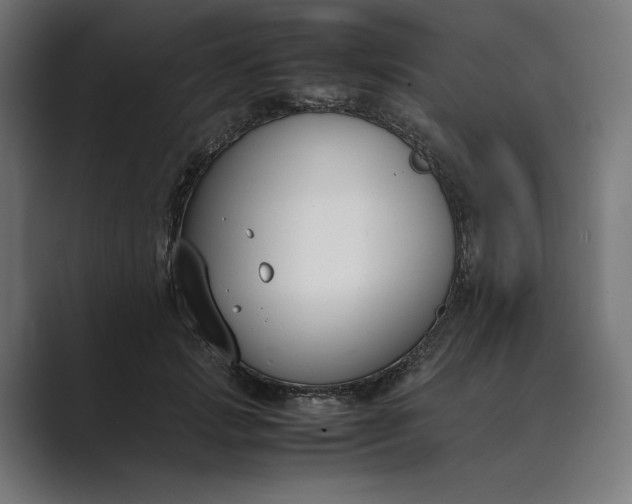 X0000089400749200706291407