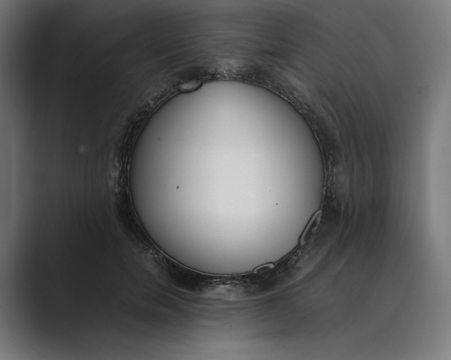 X0000089400750200706291407