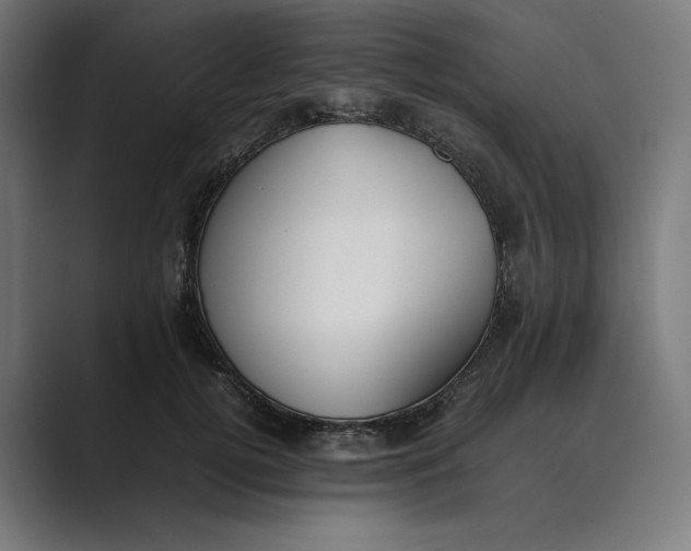 X0000089400752200706291407