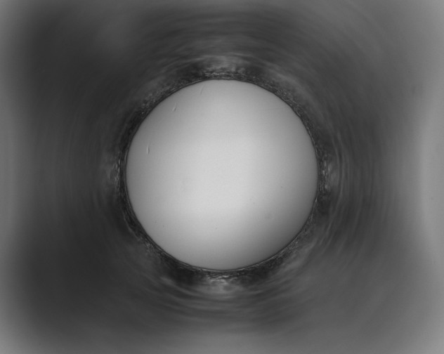 X0000089400753200706291407