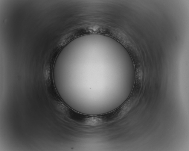 X0000089400754200706291407