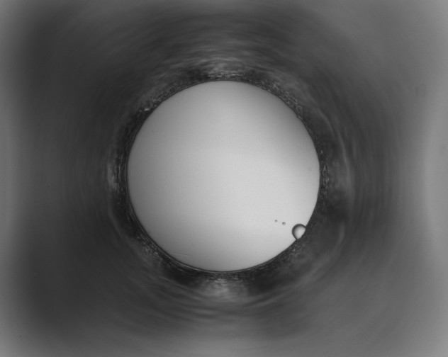 X0000089400755200706291407