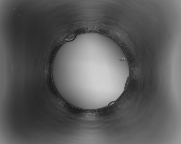 X0000089400756200706291407