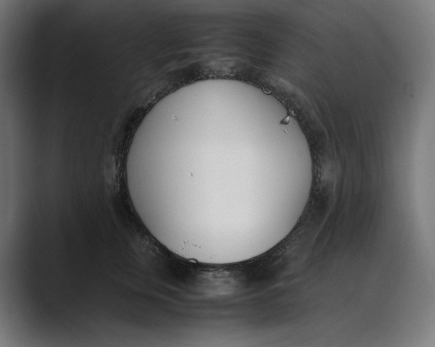 X0000089400759200706291407