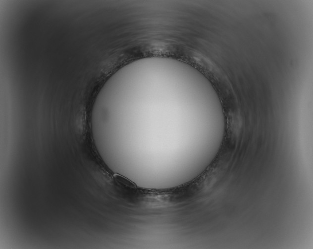 X0000089400760200706291407