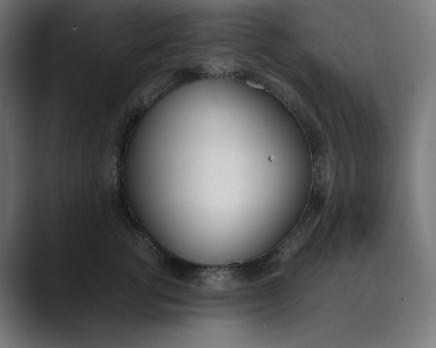 X0000089400762200706291407