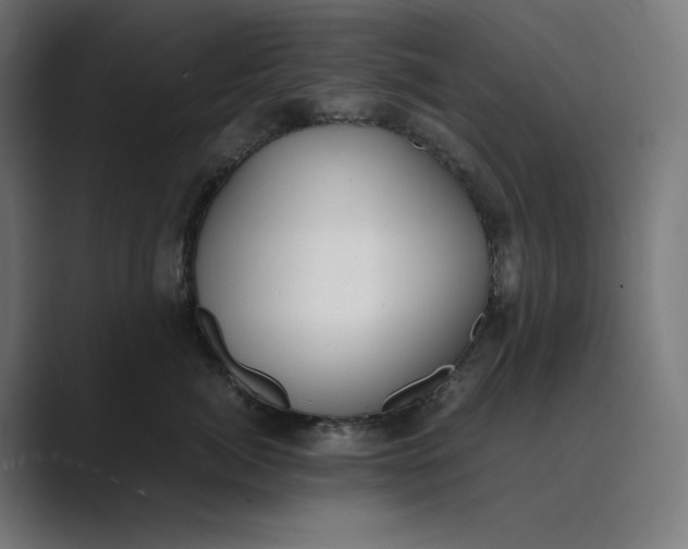 X0000089400764200706291407