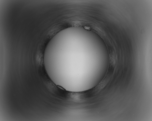 X0000089400766200706291407