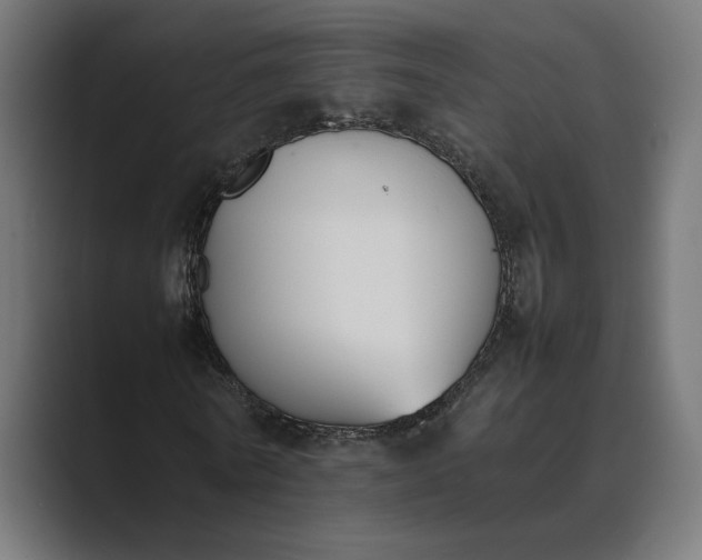 X0000089400770200706291406