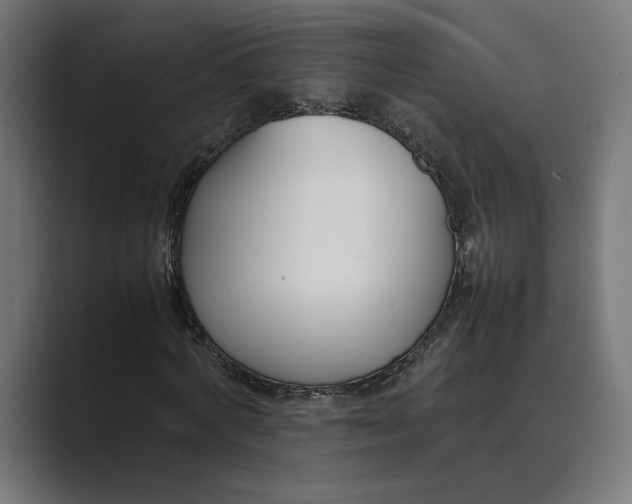 X0000089400772200706291406