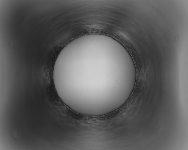 X0000089400774200706291406