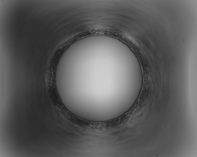 X0000089400775200706291406