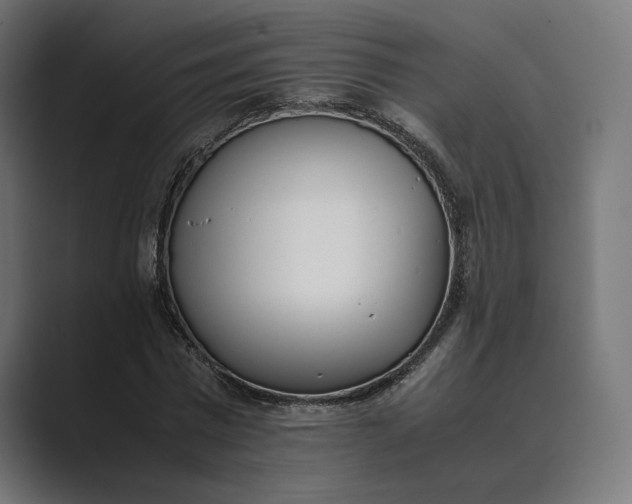 X0000089400777200706291406