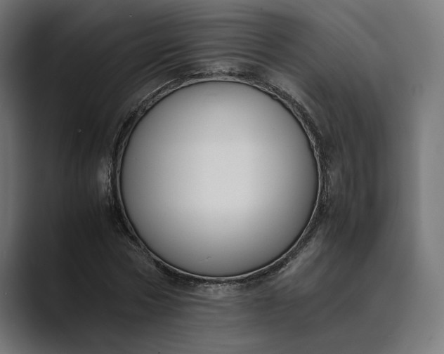 X0000089400778200706291406