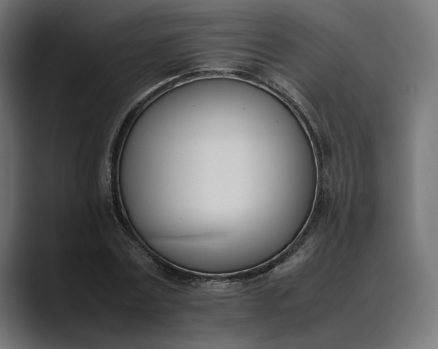 X0000089400779200706291406