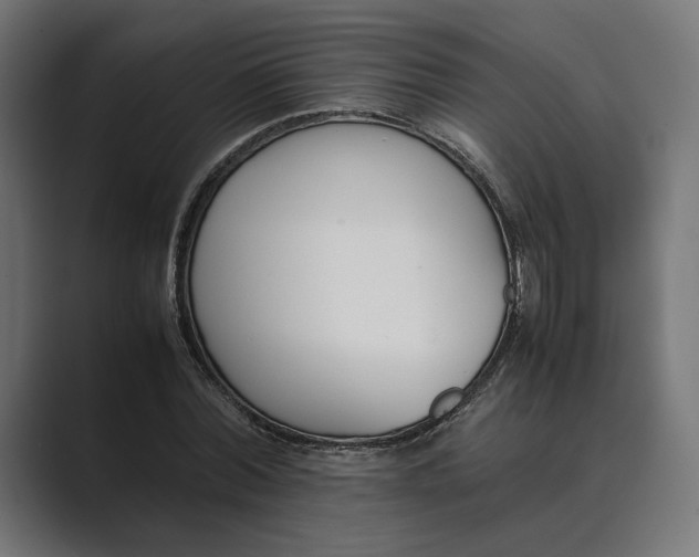 X0000089400780200706291406