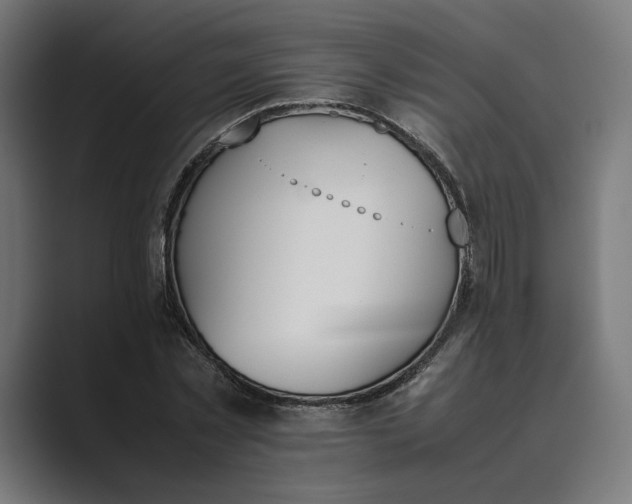 X0000089400781200706291406