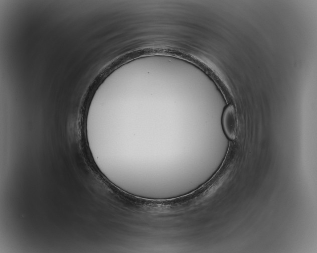 X0000089400783200706291406