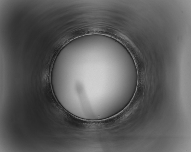 X0000089400785200706291406