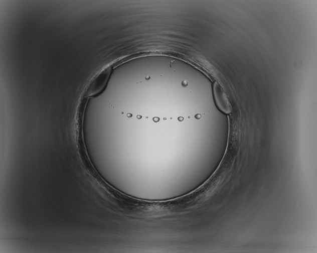 X0000089400787200706291406