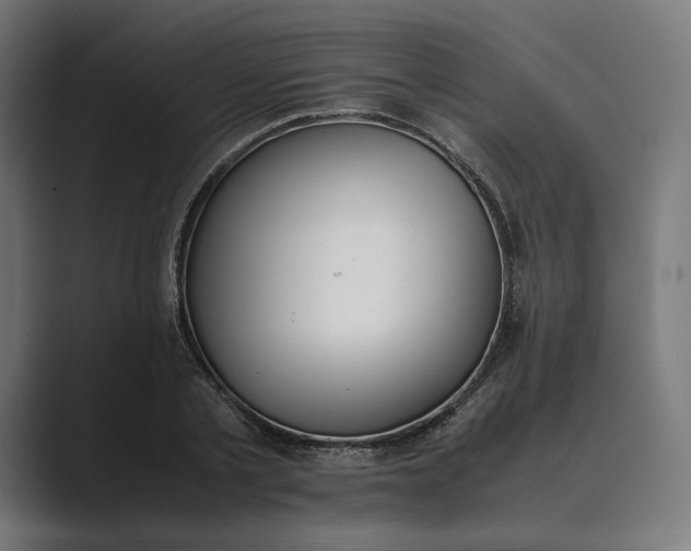 X0000089400789200706291406