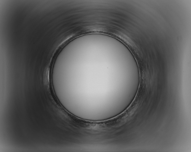 X0000089400790200706291406