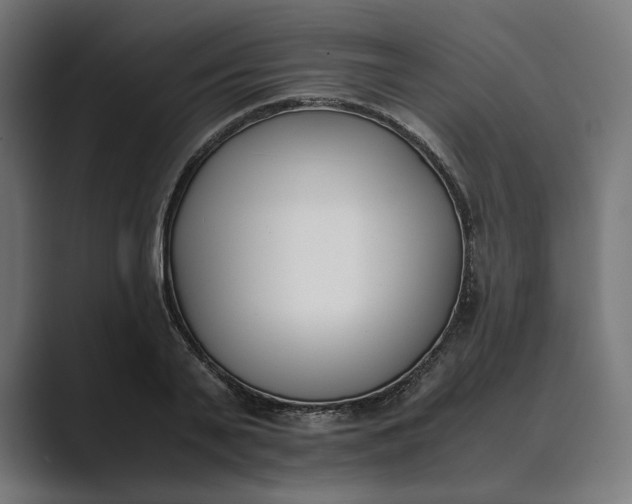 X0000089400791200706291406