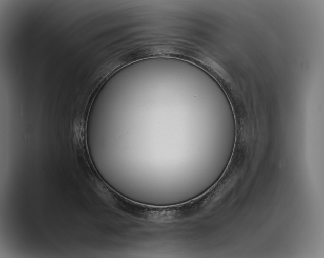 X0000089400793200706291406