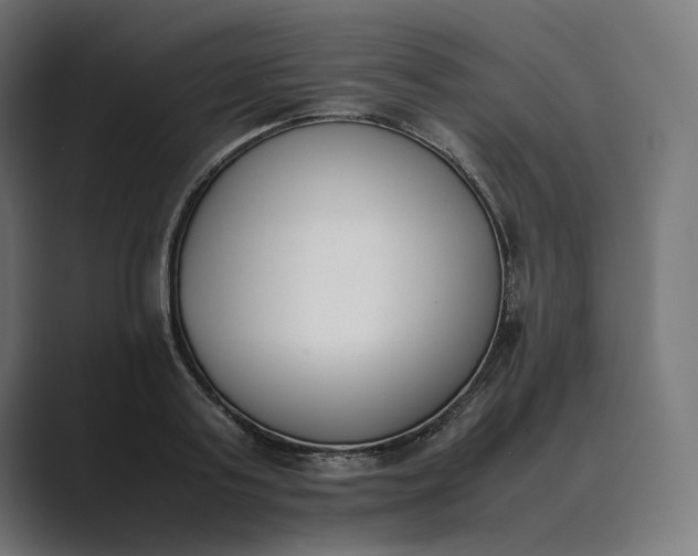 X0000089400795200706291406