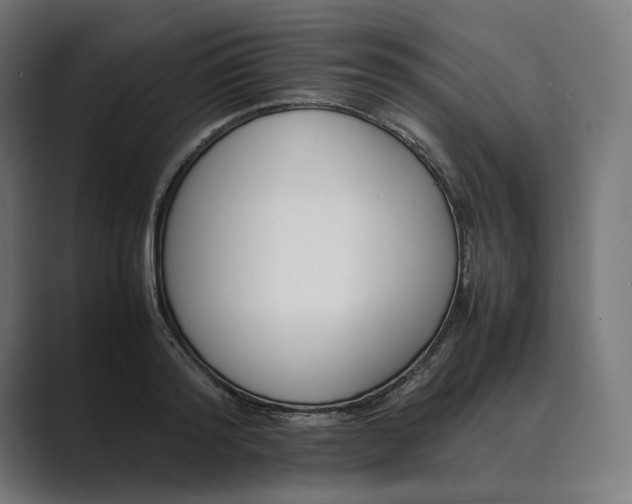 X0000089400796200706291406