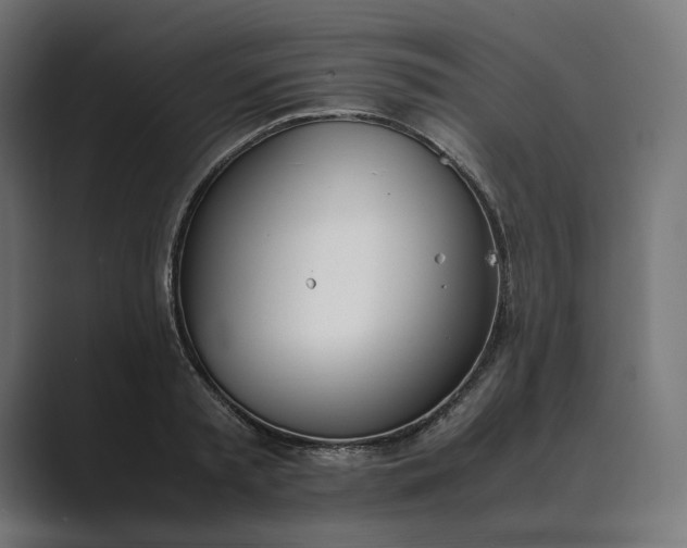 X0000089400797200706291406