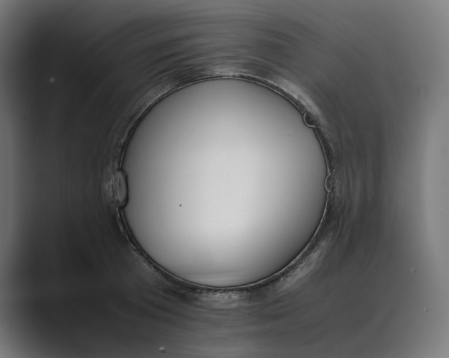 X0000089400801200706291406