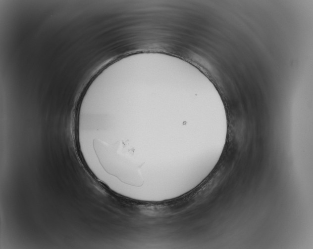 X0000089400804200706291406