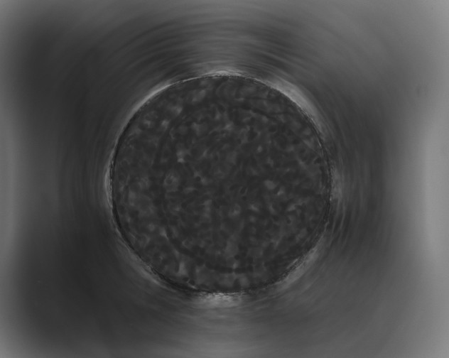 X0000089400806200706291406