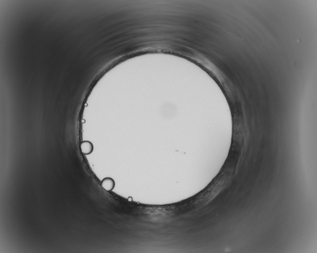 X0000089400807200706291406