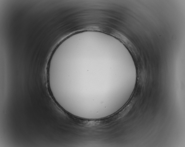 X0000089400808200706291406