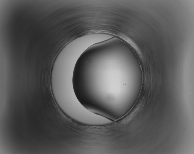 X0000089400809200706291406