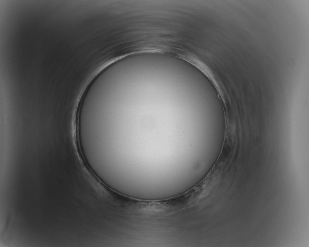 X0000089400811200706291406