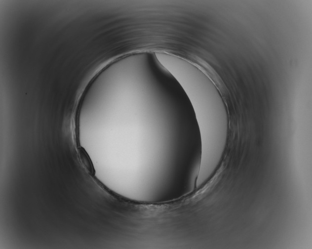 X0000089400812200706291406