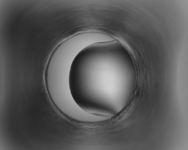 X0000089400813200706291406