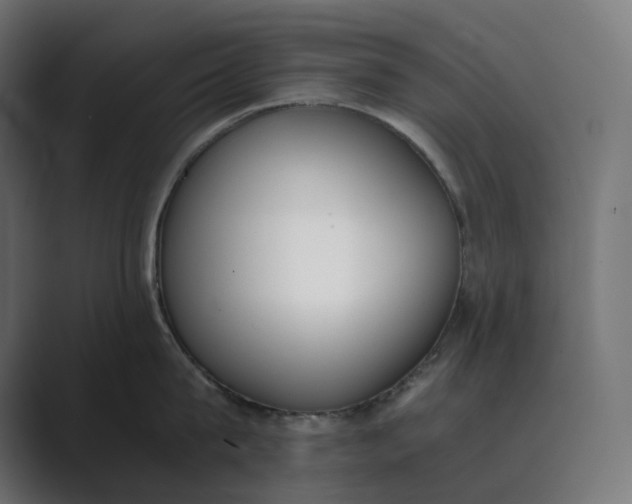 X0000089400815200706291406