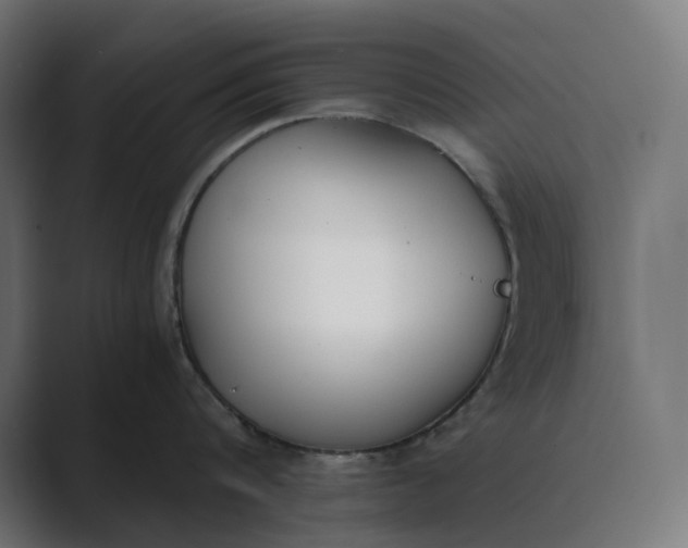 X0000089400816200706291406