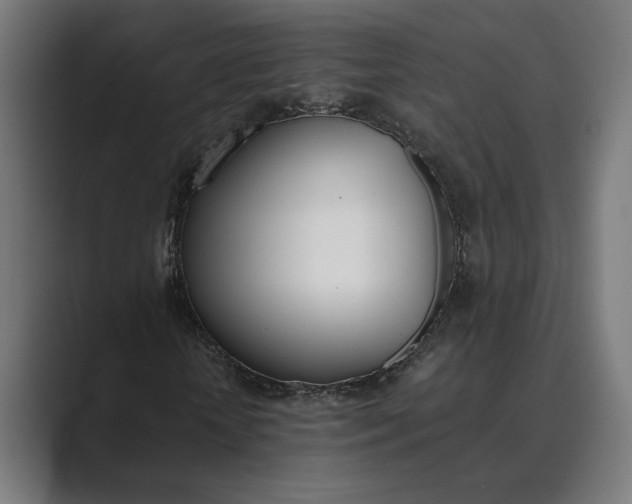 X0000089400818200706291405