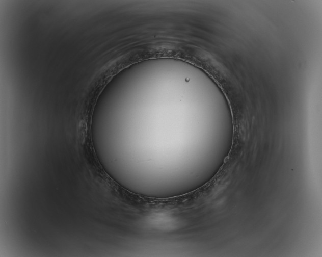 X0000089400821200706291405